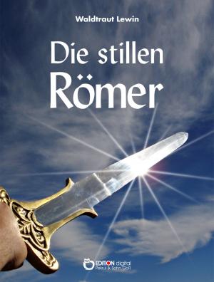 Cover of the book Die stillen Römer by Wolfgang Schreyer