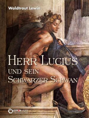 Book cover of Herr Lucius und sein schwarzer Schwan