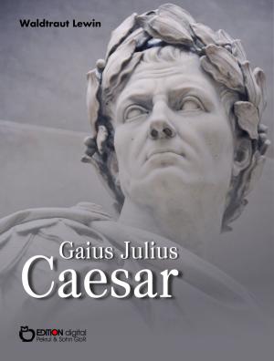 Cover of the book Gaius Julius Caesar by Heinz-Jürgen Zierke
