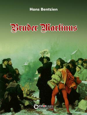 Cover of the book Bruder Martinus by Jan Flieger