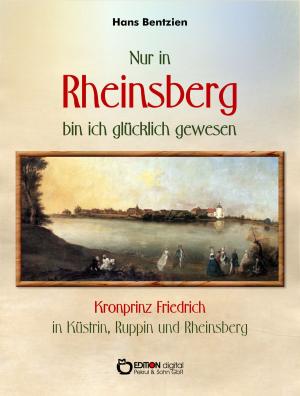 Book cover of Nur in Rheinsberg bin ich glücklich gewesen