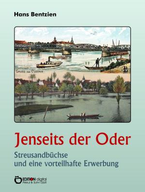 Cover of the book Jenseits der Oder by Ulrich Hinse