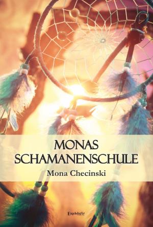 Cover of the book Monas Schamanenschule by Joachim R. Niggemeyer