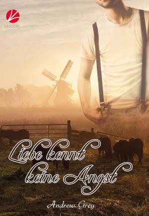 Cover of the book Liebe kennt keine Angst by Laura Kaye