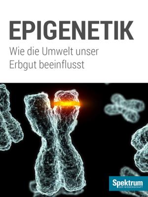 Cover of the book Spektrum Kompakt - Epigenetik by Peter Schattner