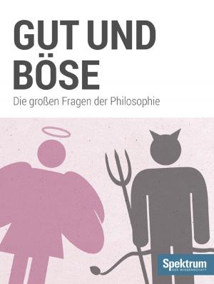 Cover of the book Gut und Böse by 