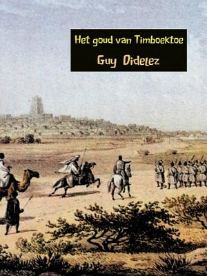 Cover of the book Het goud van Timboektoe by Luka Peters