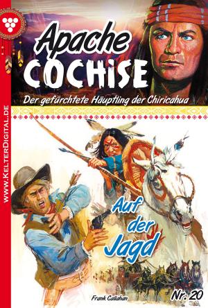 Cover of the book Apache Cochise 20 – Western by J. Gordon Monson