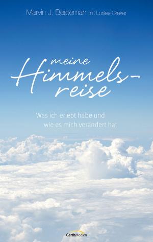 Cover of the book Meine Himmelsreise by Henk Stoorvogel, Theo van den Heuvel