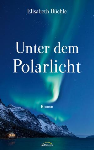 Cover of the book Unter dem Polarlicht by Sarah Young