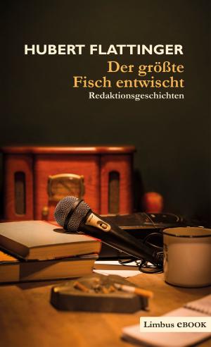 Cover of the book Der größte Fisch entwischt by Denis Diderot
