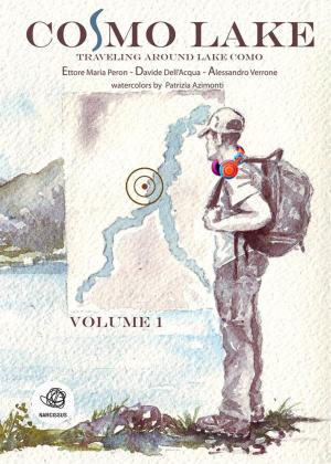 Cover of the book Cosmo Lake by Redazione Informagiovani-italia