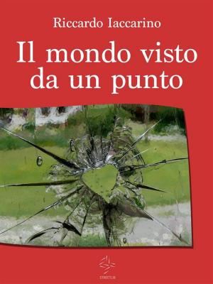 Cover of the book Il mondo visto da un punto by The Wild Goose Literary e-Journal