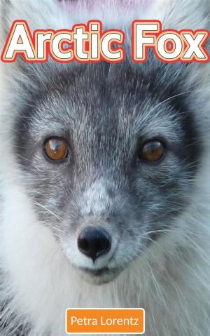 Cover of the book Arctic Fox by Tanya Rowe