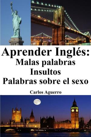 Book cover of Aprender Inglés: Malas Palabras ‒ Insultos ‒ Palabras sobre el sexo