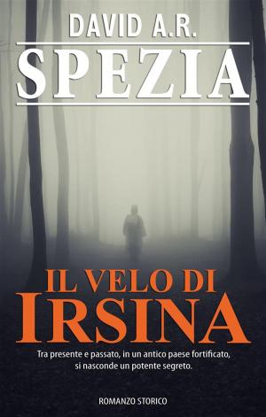 bigCover of the book Il Velo di Irsina by 