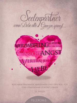 Cover of the book Seelenpartner - wenn Liebe alle Grenzen sprengt by Sarah Armstrong