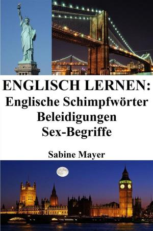 Cover of the book Englisch lernen: englische Schimpfwörter ‒ Beleidigungen ‒ Sex-Begriffe by Masha Drach, Olga Ivanivna Kravtsova