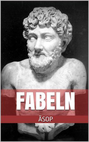 Cover of the book Fabeln by Ernst Theodor Amadeus Hoffmann