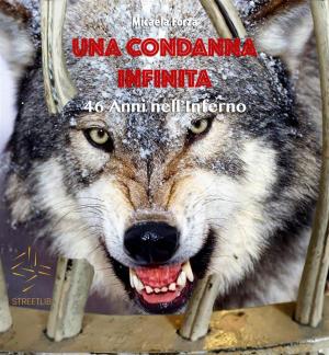 Cover of the book Una condanna Infinita. by Carolin Schade