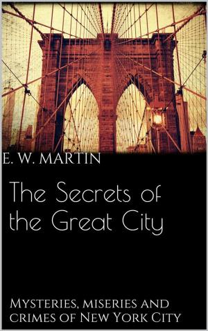 Book cover of The Secrets of the Great City
