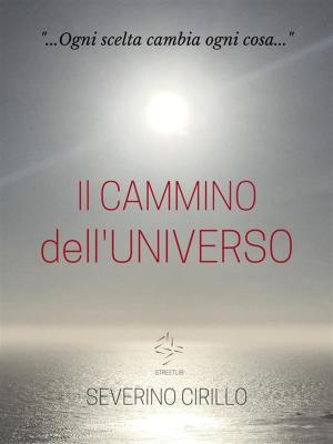 Cover of the book Il Cammino dell'Universo by Lis Anna-Langston