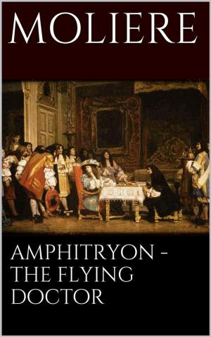 Cover of the book Amphitryon - The flying doctor by Joan H. Young