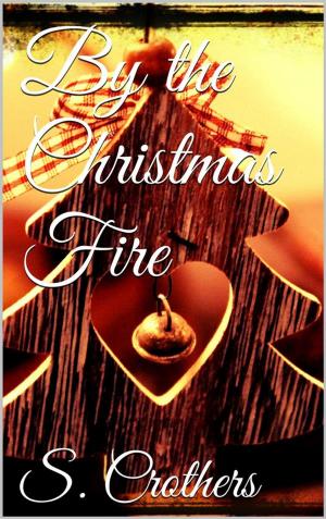 bigCover of the book By the Christmas Fire by 