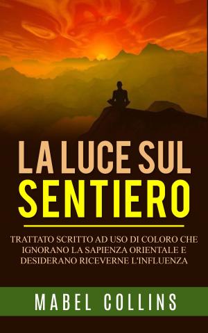 Book cover of La luce sul sentiero