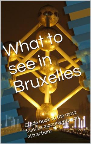 Cover of the book What to see in Bruxelles by H. P. Blavatsky