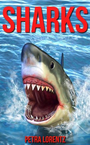 Cover of the book Sharks by Avalon Weston