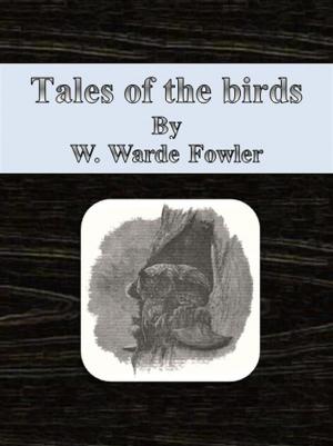 Cover of the book Tales of the birds by Krista Dunlop