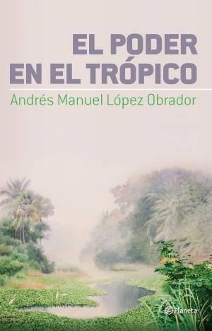 Cover of the book El poder en el Trópico by Lorenzo Bernaldo de Quirós