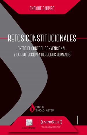 Cover of the book Retos Constitucionales by Raúl Chávez Castillo