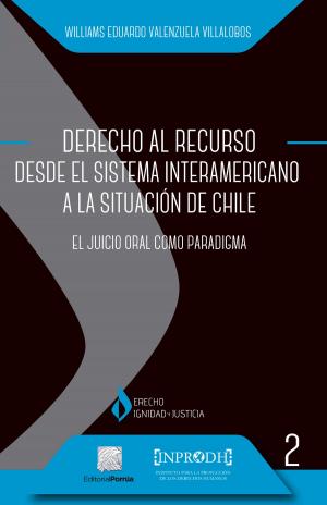 Cover of the book Derecho al Recurso desde el Sistema Interamericano a la situación de Chile by María Delgadina Valenzuela Reyes
