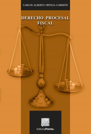 Cover of the book Derecho procesal fiscal by Rebeca Pal