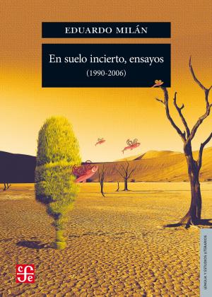 Cover of the book En suelo incierto, ensayos (1990-2006) by Andrea Martínez Baracs
