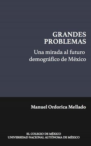 Cover of the book Una mirada al futuro demográfico de México (Coedición) by Ana María Tepichin, Karine Tinat, Luzelena Gutierrez Velazco