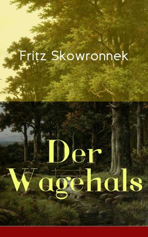 Cover of the book Der Wagehals by Erin Heitzmann