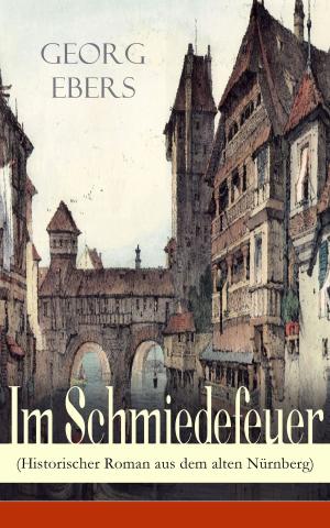 bigCover of the book Im Schmiedefeuer (Historischer Roman aus dem alten Nürnberg) by 