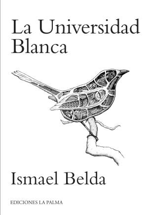 Cover of the book La universidad blanca by Marissa Steidl
