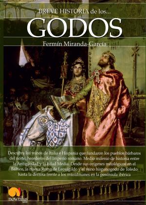 Cover of the book Breve historia de los godos by Javier Martínez-Pinna