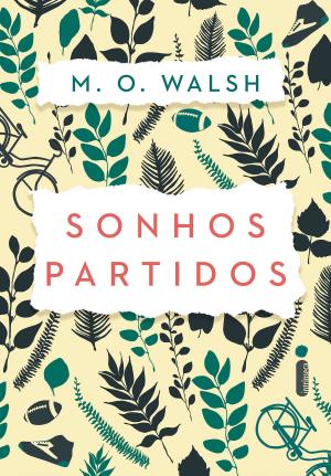 Book cover of Sonhos partidos
