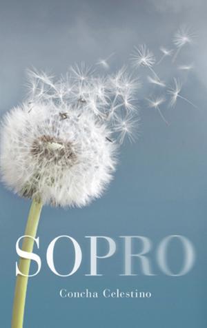 Cover of the book Sopro by Andrea Pelagagi