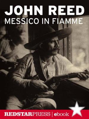 Cover of the book Messico in fiamme by John Reed