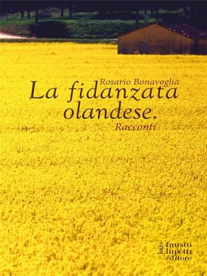 Cover of the book La fidanzata olandese by Maurizio Ortolani, Roberto Spingardi