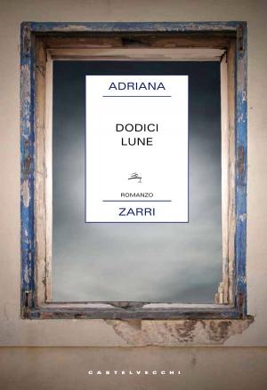Book cover of Dodici lune