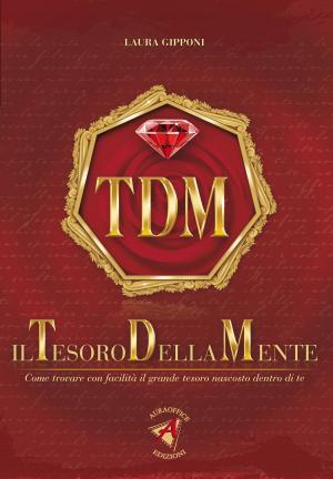 Book cover of IL TESORO DELLA MENTE