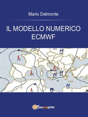 Book cover of Il modello numerico ECMWF