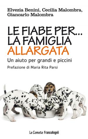 Cover of the book Le fiabe per la famiglia allargata. Un aiuto per grandi e piccini by Stefano Farnè